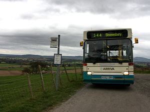 Supporting image for story: MPs agree to overturn ban on councils setting up bus companies