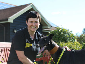 Supporting image for story: 'Bark' to school with a difference for Shropshire pupils