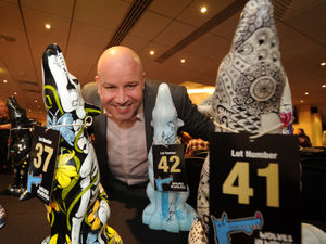 Supporting image for story: Wolves in Wolves are auctioned off, raising more than £35,000 for charity – video and pictures