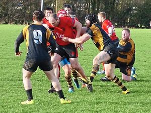 Supporting image for story: Rugby Union: Telford Hornets stung by Ludlow