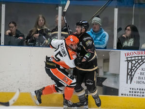 Supporting image for story: Watkins pleased to see Telford Tigers 'dig in'