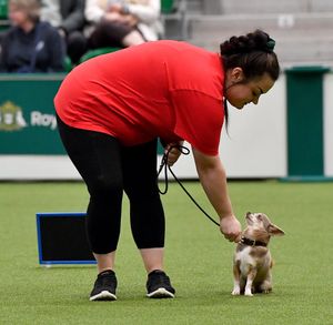 First day of Crufts at the NEC Birmingham.