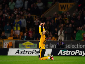 Supporting image for story: Fabio Silva - A Wolves timeline 