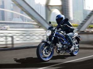 Supporting image for story: First Ride: The Suzuki SV650 is a motorcycle that gets the job done
