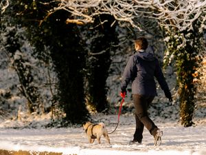 Supporting image for story: Ice and snow lead to school closures and difficult driving conditions