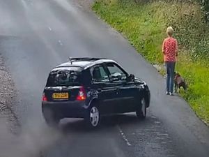 Supporting image for story: Delay in sentencing teen driver who seriously injured dog walker and killed her pet