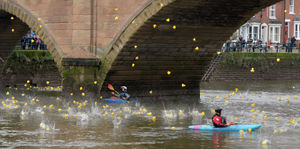 Ducks made a splash as they were dropped from the bridge - starting the race