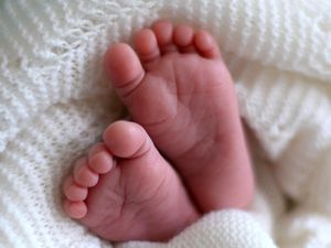 Supporting image for story