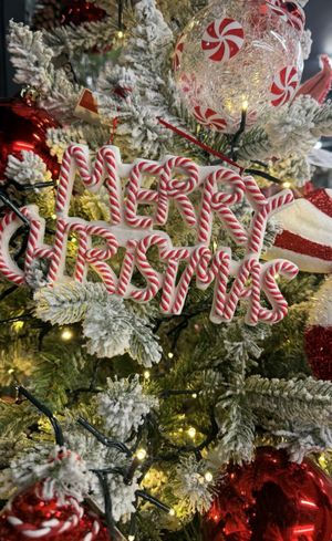 The countdown is on! Light up your Christmas with Burford House Garden Centre