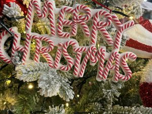 Supporting image for story: The countdown is on: Father Christmas set to open garden centre's seasonal spectacular