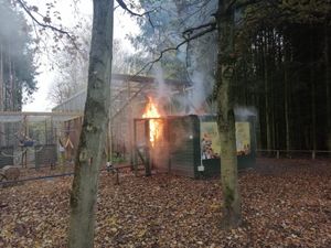 Supporting image for story: Fire destroys lemur shed at Hoo Farm in Telford