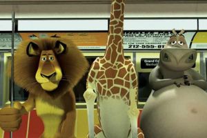 Supporting image for story: Madagascar Live! swings onto the LG Arena stage in January