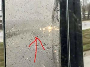 Supporting image for story: Lorry driver highlights need for headlights in rainy conditions