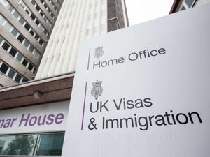 Supporting image for story: Number of foreign nationals arriving on work visas falls by nearly a half