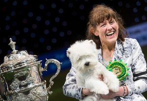 Burneze Geordie Girl, West Highland White Terrier with Marie Burns.
