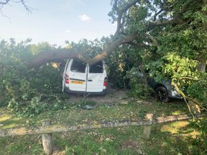 Supporting image for story: Van crushed by falling tree near Ellesmere