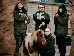 Supporting image for story: Telford's Exotic Zoo hits £10,000 fundraising target in less than a month