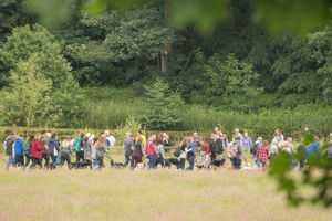 DogFest. All pictures from: https://dog-fest.co.uk/cheshire