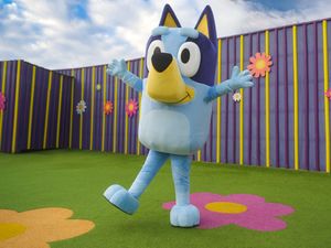 Supporting image for story: Alton Towers Cbeebies Hotel opens new Bluey themed rooms