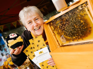 Supporting image for story: Society to host Shropshire bee expert