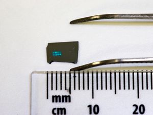 Supporting image for story: Scientists have grown brain cells on a chip - and it could help treat Alzheimer's