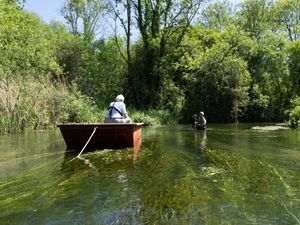 Supporting image for story: Carnivorous giant leech swallows toadlet whole in latest episode of Wild Isles