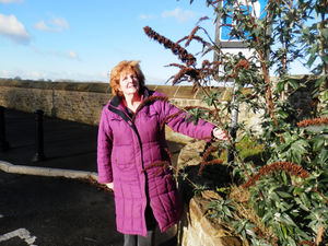 Supporting image for story: Visibility improvements coming at Ludlow accident blackspot