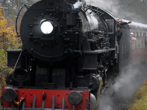 Supporting image for story: Telford Steam Railway bosses cancel Polar Express - operators 'heartbroken'