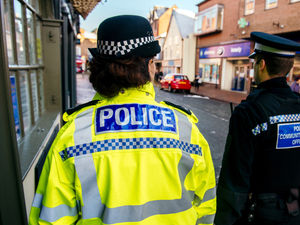 Supporting image for story: Warning after livestock thefts