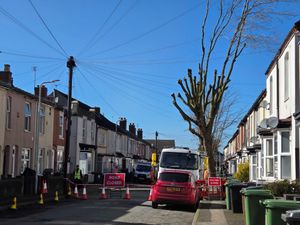 Supporting image for story: Buses diverted as emergency tree works take place on Wolverhampton street