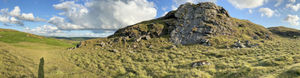 Supporting image for story: Discover some dinosaur remains which will be on show at a Powys museum