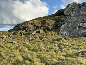 Supporting image for story: Discover some dinosaur remains which will be on show at a Powys museum