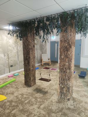 The specialist provision setting