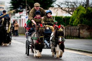 Supporting image for story: Pictures: Shropshire horse parade marks start of new year