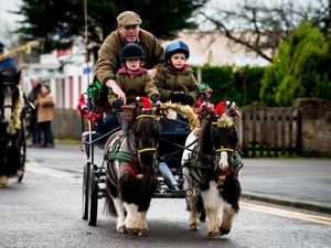 Supporting image for story: Pictures: Shropshire horse parade marks start of new year