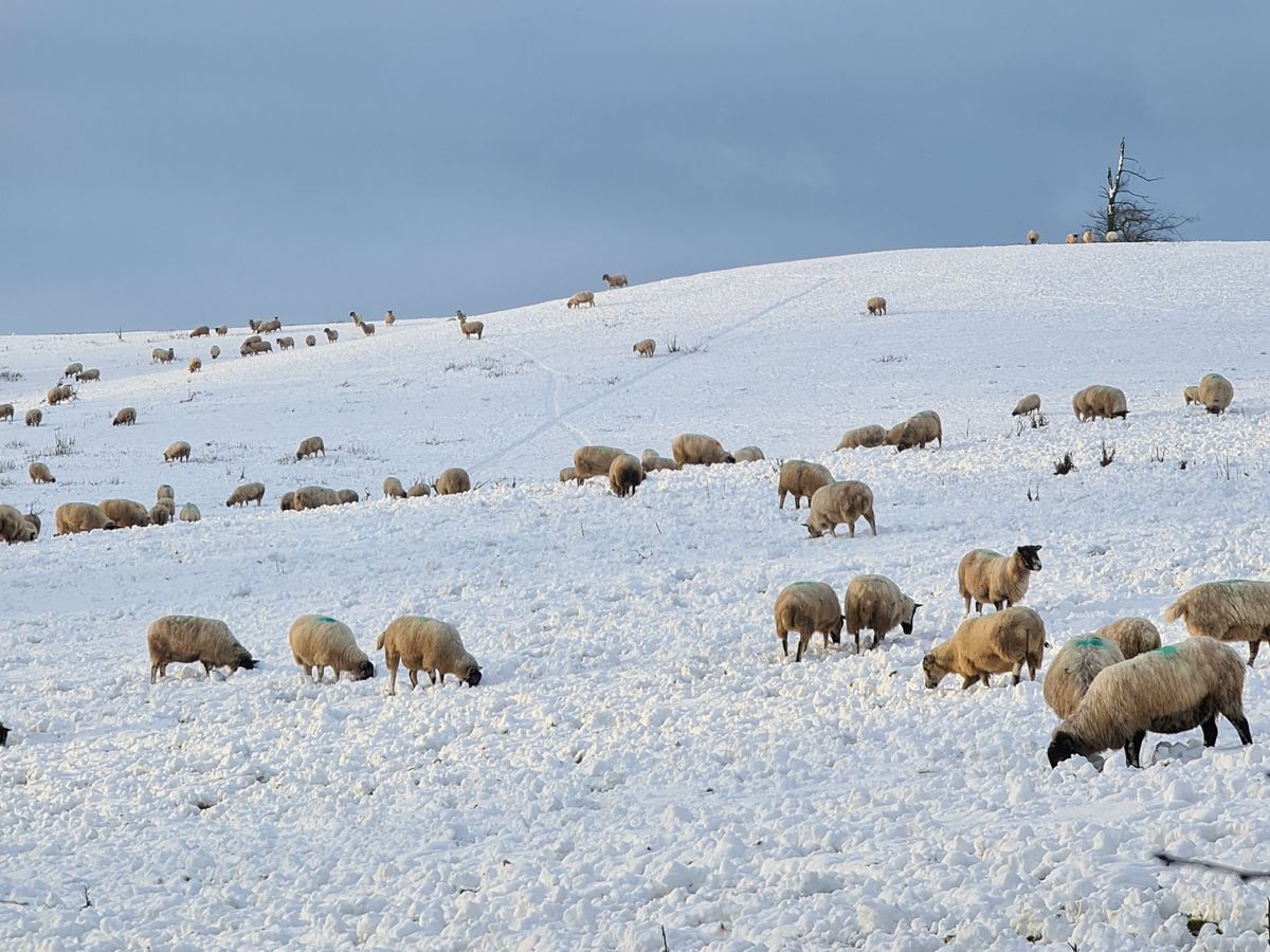 Motorists urged to take extra care as further snow and ice warnings