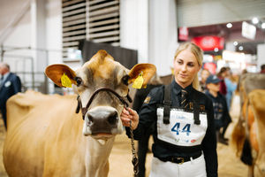 Emily Davies with Ribermead Verdi Pixi from Westcott Farm in Devon. All pictures: Jamie Ricketts