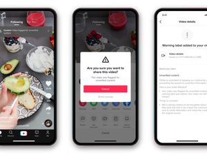 Supporting image for story: TikTok to flag videos containing ‘unverified content’