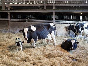 Supporting image for story: Shropshire Farming Talk: Focus on fertility