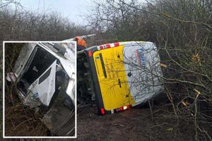 Supporting image for story: M54 crash: Driver has lucky escape after van rolls into field