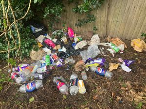 Supporting image for story: Wolverhampton residents complain of fly-tips after bins go uncollected under new rules