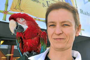 Supporting image for story: From Hollywood to Shropshire: Movie star Poncho the parrot retires to pet shop perch