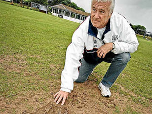Supporting image for story: Cow herd damages Allscott village cricket pitch