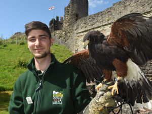 Supporting image for story: Dudley Zoo and Castle takes top tourism award
