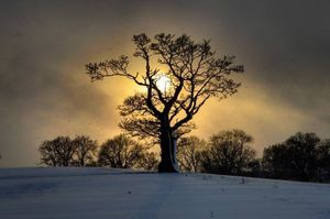 Snow fall over the countryside in Staffordshire last year