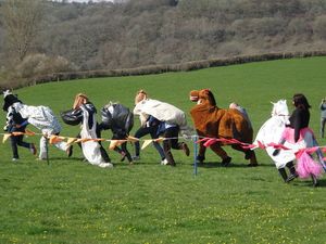 Supporting image for story: And they're off – horse race with a difference in Mid Wales