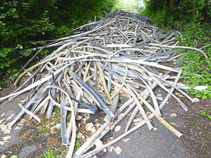 Supporting image for story: Plea after Newport fly-tippers strike again