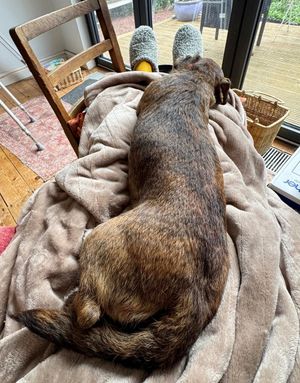 Jo Roberts, a BBC1 antiques dealer, was out walking near her Warwickshire home when she fell and broke her hip.