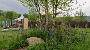 Blooming Borders at RHS Malvern Spring Festival