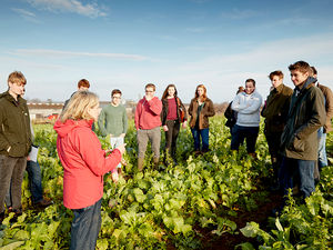 Supporting image for story: First School of Sustainable Food and Farming officially launches at Shropshire university 